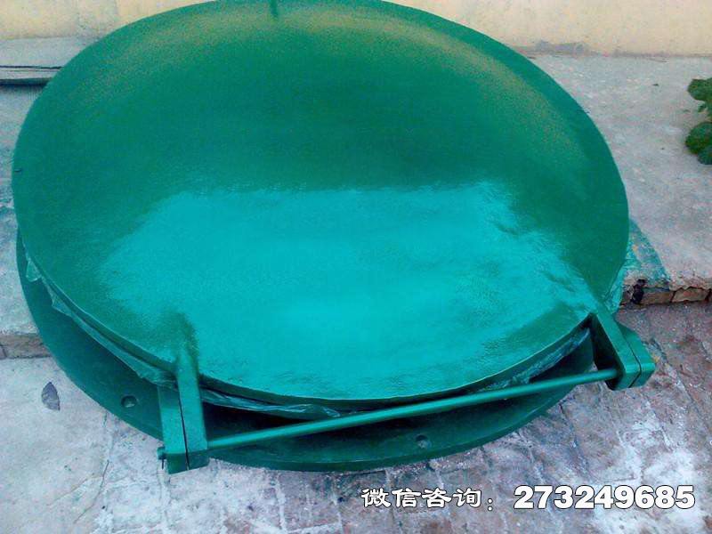 龙子湖玻璃钢圆拍门