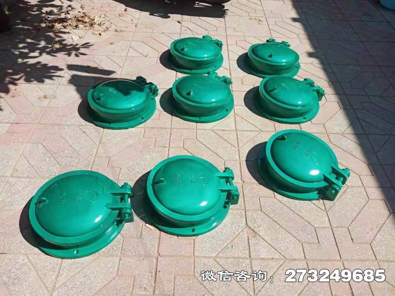 龙子湖玻璃钢止水拍门