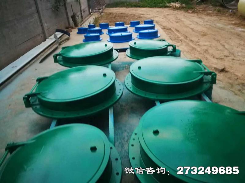 来宾市政管道口玻璃钢拍门