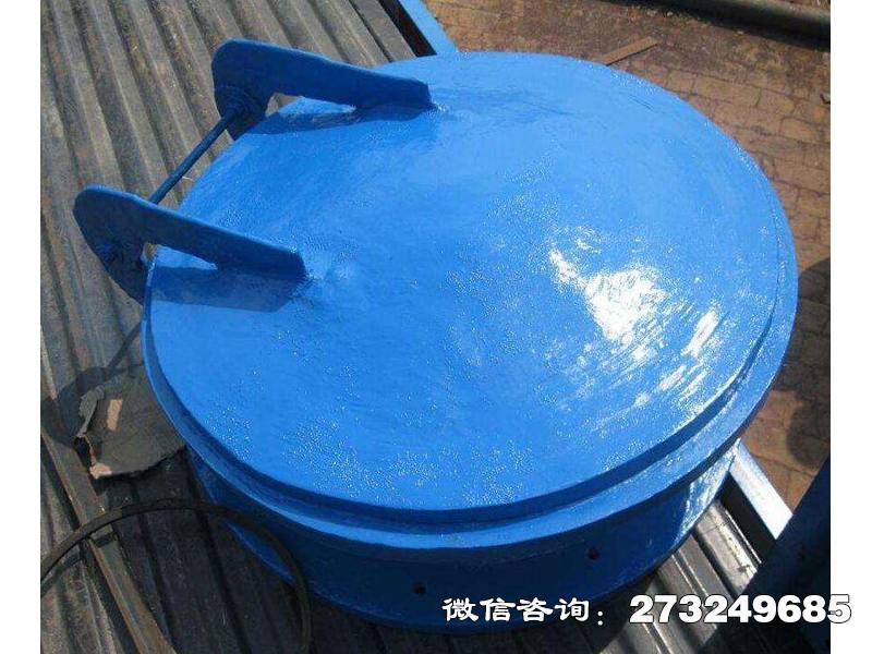 龙子湖污水管用玻璃钢拍门